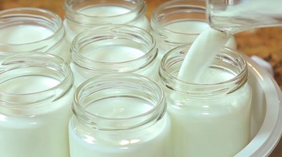 Cách làm yaourt bằng sữa đặc Doron rất ngon mà lại đơn giản tại nhà