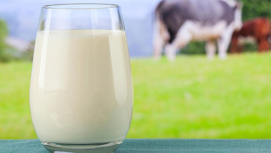 Fonterra nâng dự báo về giá sữa năm 2020/21 do Trung Quốc tăng nhập khẩu