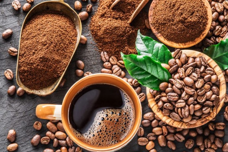 Đơn vị cung cấp cà phê ngon Gia Lai chất lượng nhất hiện nay