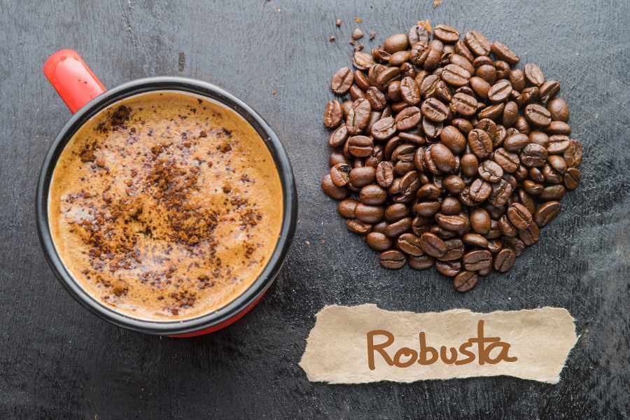 Đơn vị xuất khẩu cà phê Robusta uy tín tại Việt Nam