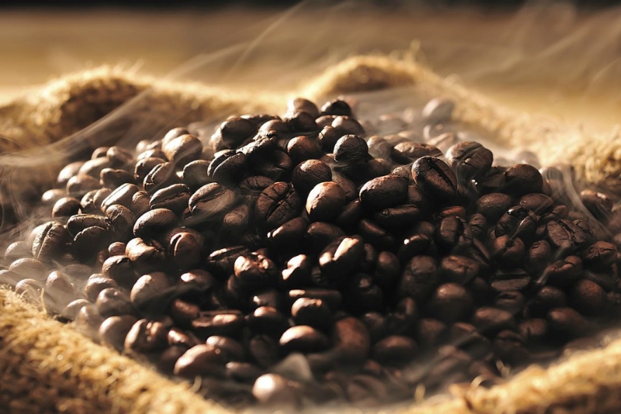 Phân biệt các loại cà phê nguyên chất cùng Đồng An Gia